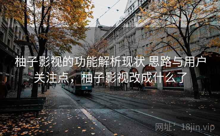 柚子影视的功能解析现状 思路与用户关注点，柚子影视改成什么了
