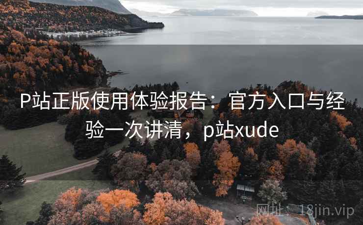 P站正版使用体验报告：官方入口与经验一次讲清，p站xude