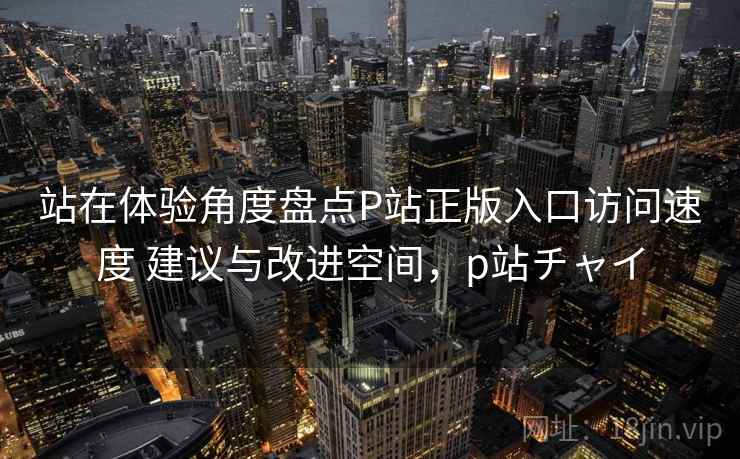站在体验角度盘点P站正版入口访问速度 建议与改进空间，p站チャイ
