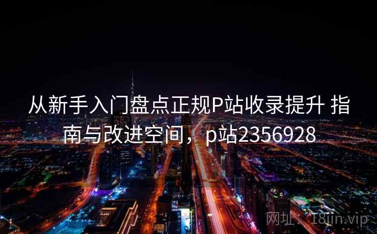 从新手入门盘点正规P站收录提升 指南与改进空间，p站2356928