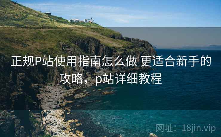 正规P站使用指南怎么做 更适合新手的攻略,p站详细教程 正规P站使用指南怎么做 更适合新手的攻略,p站详细教程
