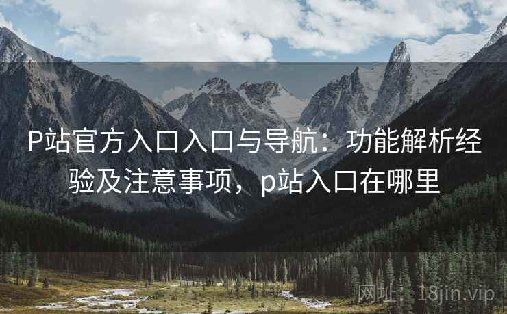 P站官方入口入口与导航：功能解析经验及注意事项，p站入口在哪里