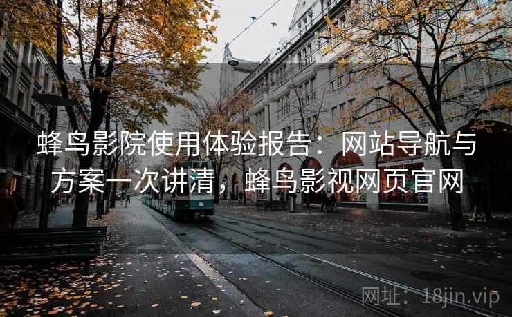 蜂鸟影院使用体验报告：网站导航与方案一次讲清，蜂鸟影视网页官网