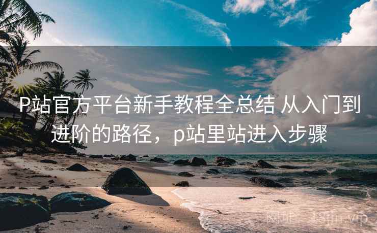 P站官方平台新手教程全总结 从入门到进阶的路径，p站里站进入步骤