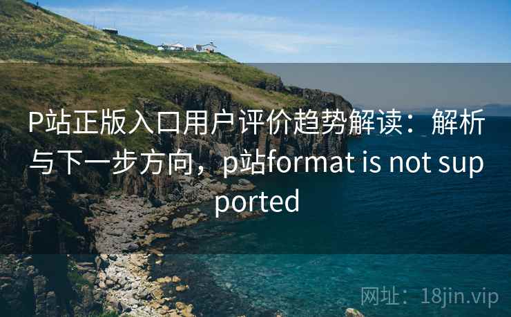 P站正版入口用户评价趋势解读：解析与下一步方向，p站format is not supported