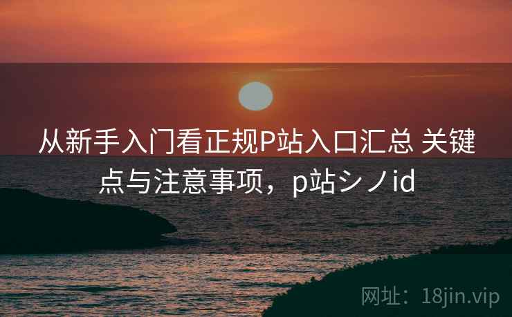 从新手入门看正规P站入口汇总 关键点与注意事项，p站シノid