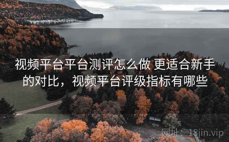 视频平台平台测评怎么做 更适合新手的对比，视频平台评级指标有哪些