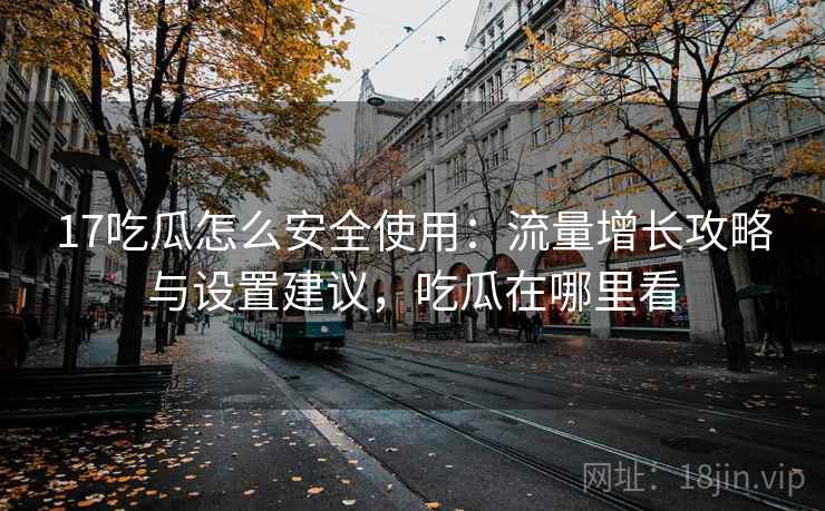 17吃瓜怎么安全使用：流量增长攻略与设置建议，吃瓜在哪里看